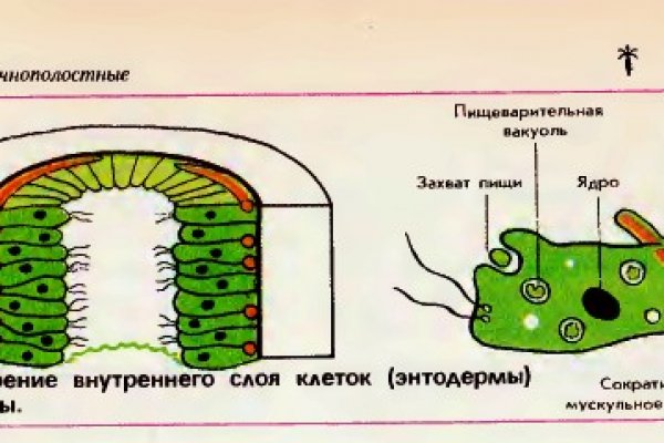 Купить наркоту