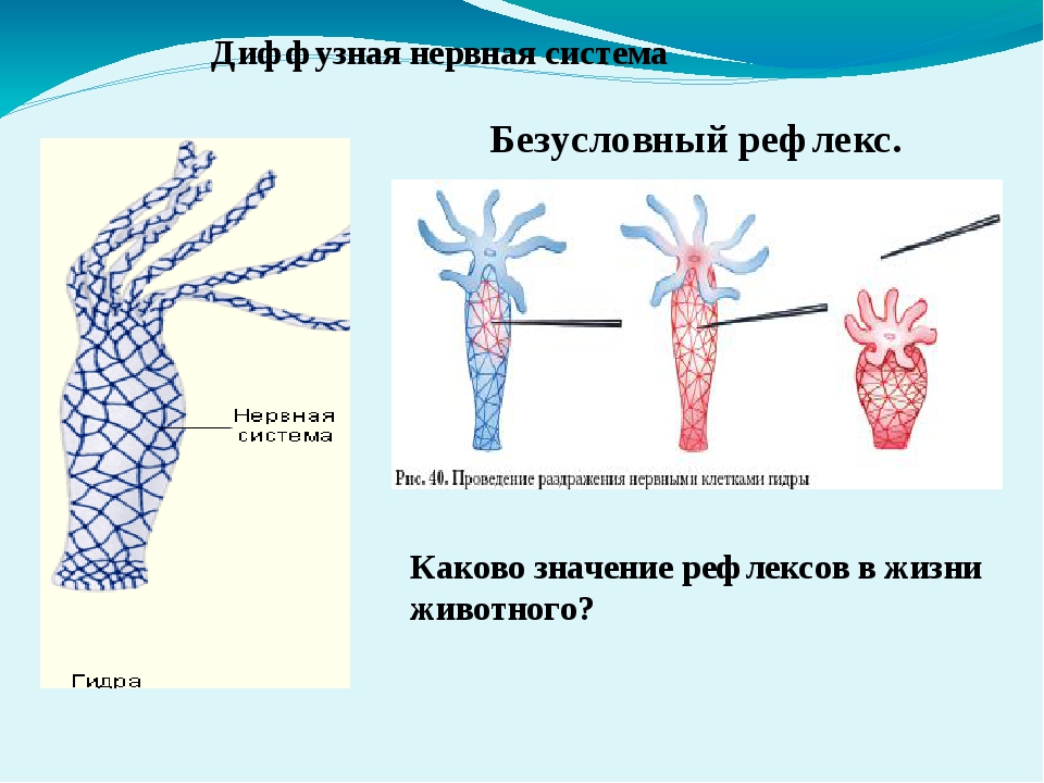 Кракен официальная ссылка kraken torion