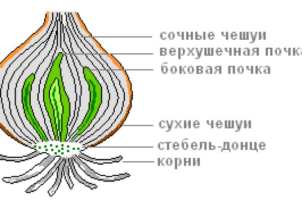 Какая ссылка у кракена